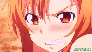 SAO Website Thumbs 1 300x169 1