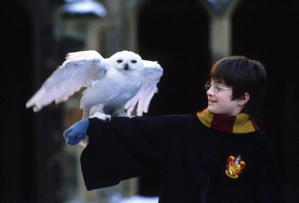 The Chosen One: Harry Potter