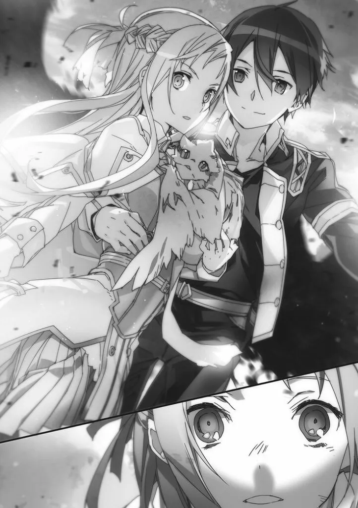 Light Novel version of Kirito and Asuna preparing for battle in Sword Art Online.