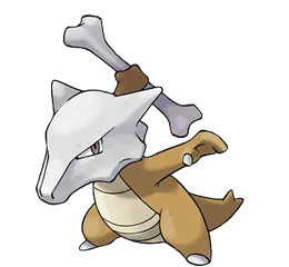 Marowak Pokemon Picture