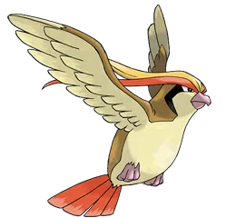 Pidgeot Pokemon Picture