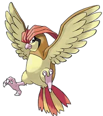Pidgeotto Pokemon Picture