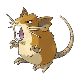 Raticate Pokemon Picture