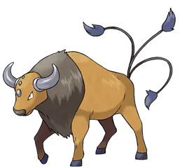Tauros Pokemon Picture