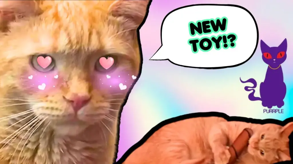 Untitled YouTube Thumbnail