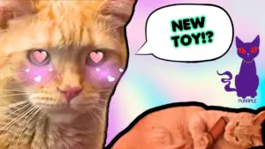 Untitled YouTube Thumbnail