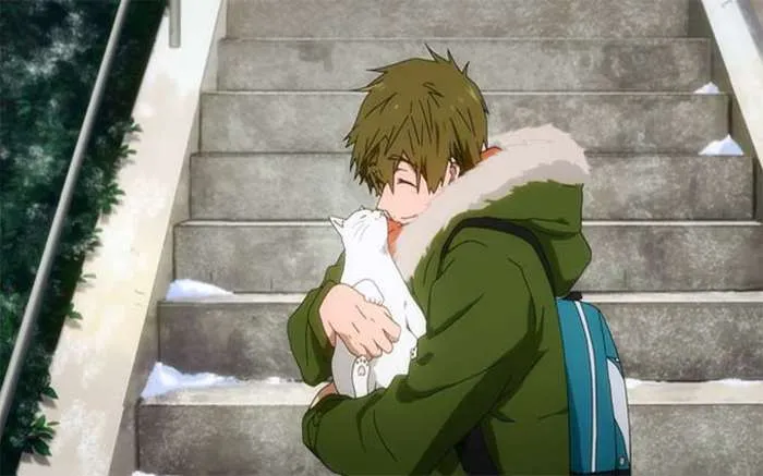 Makoto Tachibana’s soft heart and love for all things warm and fuzzy prove why he’s the ultimate comfort character in Free!.