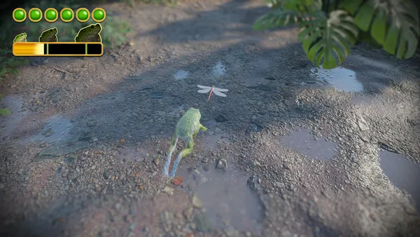 A green frog leaping toward a dragonfly on a muddy path with puddles, shown from an overhead view in a realistic forest setting.