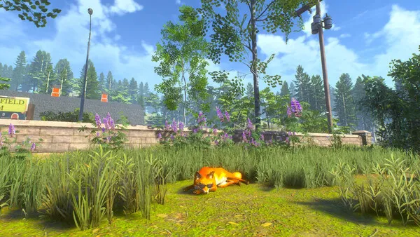 A fox peacefully napping on a sunny patch of grass surrounded by trees and purple flowers in Chill Fox.